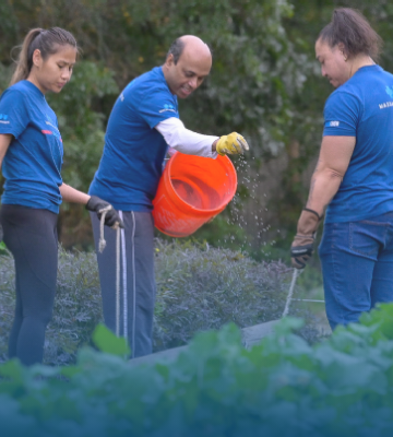 Photo of two women and one man Blue Cross employees wearing BlueCrew t-shirts and garden gloves, spreading seed in a garden Photo of two women and one man Blue Cross employees wearing BlueCrew t-shirts and garden gloves, spreading seed in a garden